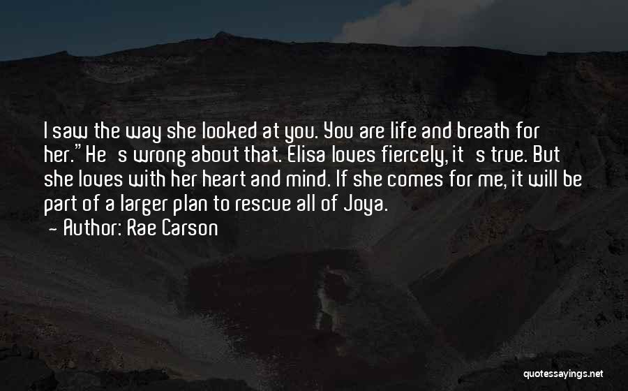 Rae Carson Quotes: I Saw The Way She Looked At You. You Are Life And Breath For Her.he's Wrong About That. Elisa Loves