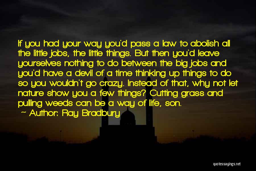 Ray Bradbury Quotes: If You Had Your Way You'd Pass A Law To Abolish All The Little Jobs, The Little Things. But Then