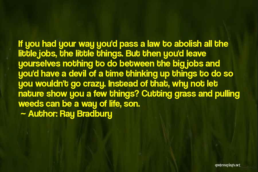 Ray Bradbury Quotes: If You Had Your Way You'd Pass A Law To Abolish All The Little Jobs, The Little Things. But Then