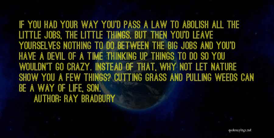 Ray Bradbury Quotes: If You Had Your Way You'd Pass A Law To Abolish All The Little Jobs, The Little Things. But Then