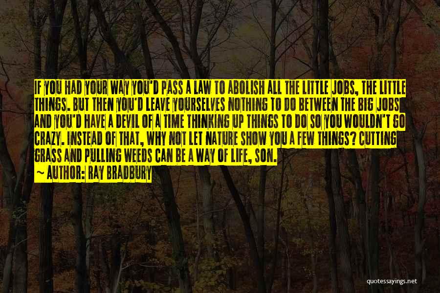 Ray Bradbury Quotes: If You Had Your Way You'd Pass A Law To Abolish All The Little Jobs, The Little Things. But Then