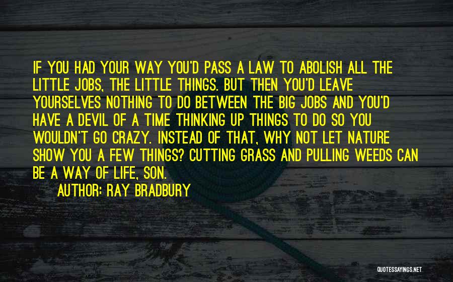 Ray Bradbury Quotes: If You Had Your Way You'd Pass A Law To Abolish All The Little Jobs, The Little Things. But Then