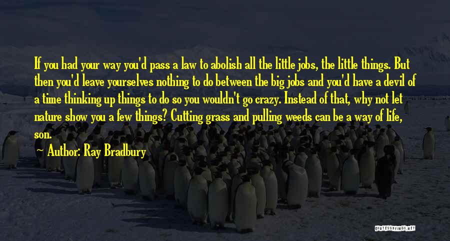 Ray Bradbury Quotes: If You Had Your Way You'd Pass A Law To Abolish All The Little Jobs, The Little Things. But Then