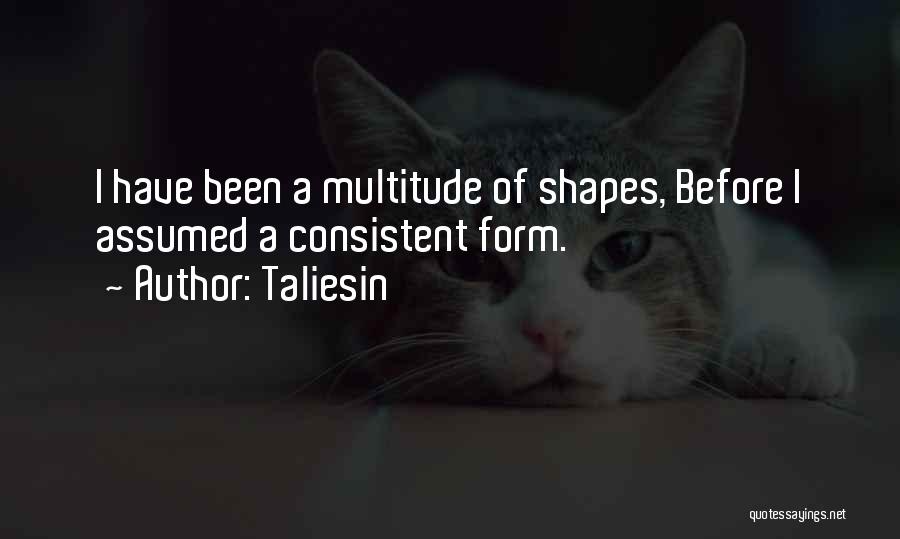 Taliesin Quotes: I Have Been A Multitude Of Shapes, Before I Assumed A Consistent Form.