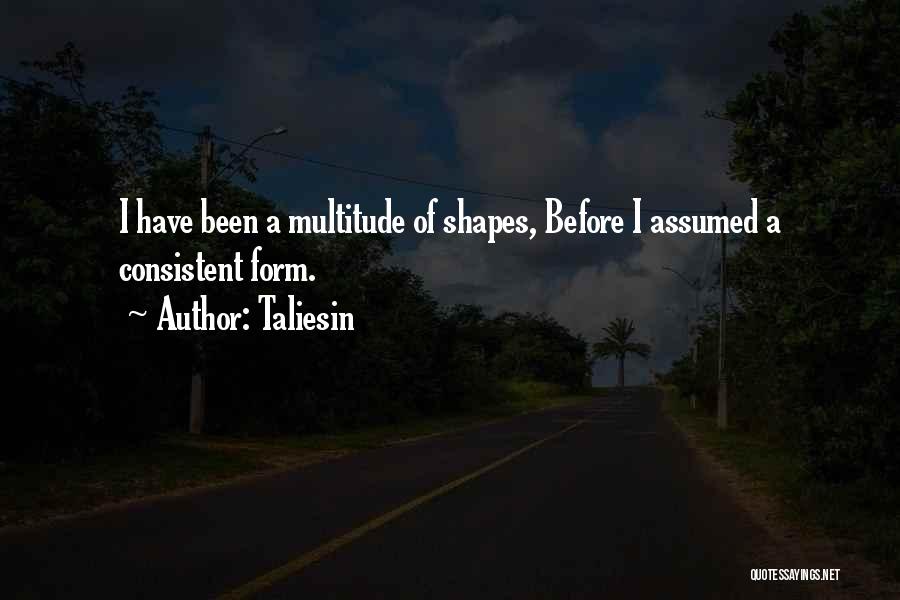 Taliesin Quotes: I Have Been A Multitude Of Shapes, Before I Assumed A Consistent Form.