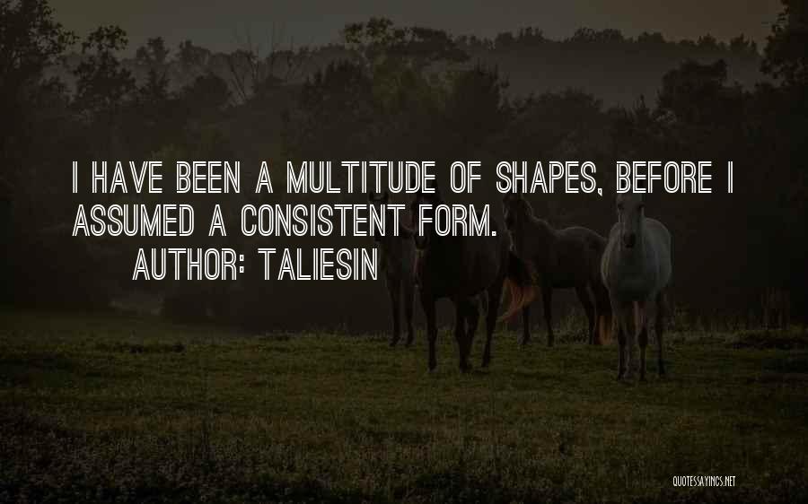 Taliesin Quotes: I Have Been A Multitude Of Shapes, Before I Assumed A Consistent Form.