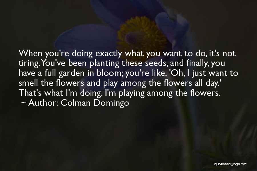 Colman Domingo Quotes: When You're Doing Exactly What You Want To Do, It's Not Tiring. You've Been Planting These Seeds, And Finally, You