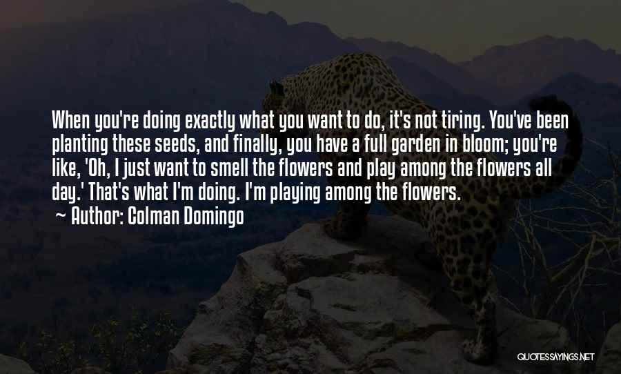 Colman Domingo Quotes: When You're Doing Exactly What You Want To Do, It's Not Tiring. You've Been Planting These Seeds, And Finally, You