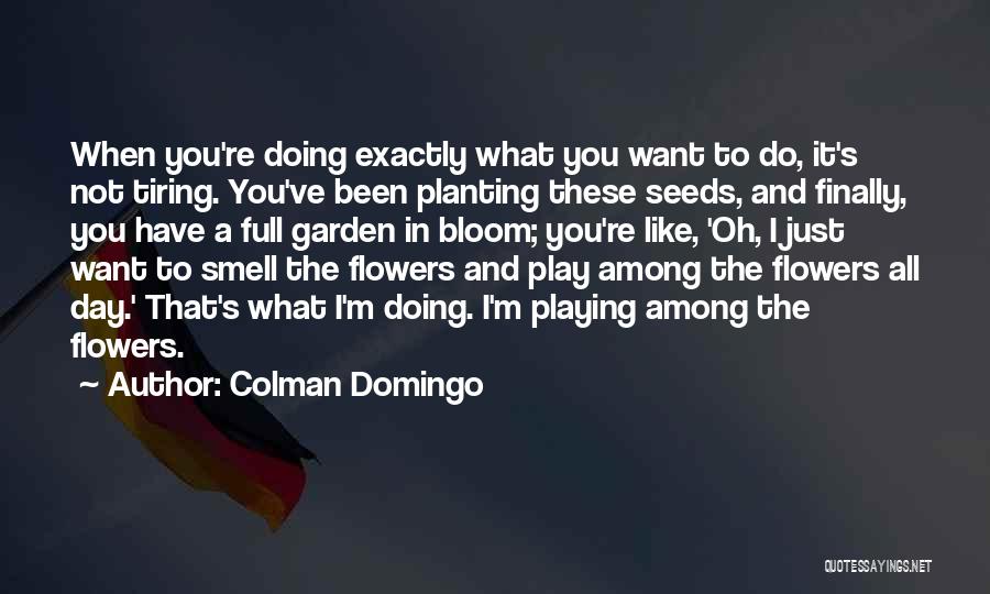 Colman Domingo Quotes: When You're Doing Exactly What You Want To Do, It's Not Tiring. You've Been Planting These Seeds, And Finally, You