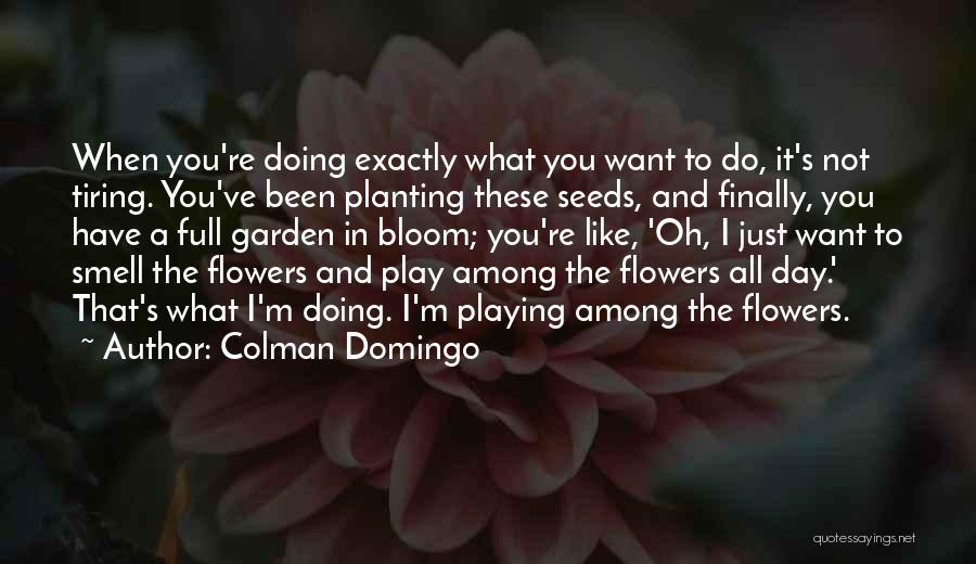 Colman Domingo Quotes: When You're Doing Exactly What You Want To Do, It's Not Tiring. You've Been Planting These Seeds, And Finally, You