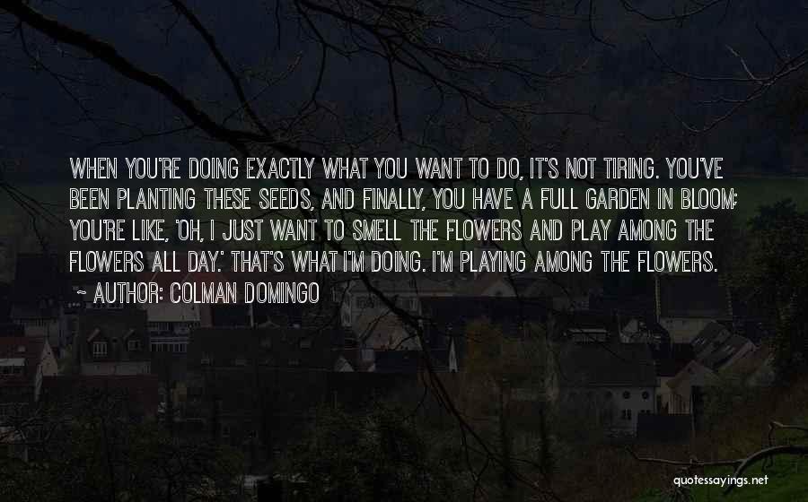 Colman Domingo Quotes: When You're Doing Exactly What You Want To Do, It's Not Tiring. You've Been Planting These Seeds, And Finally, You