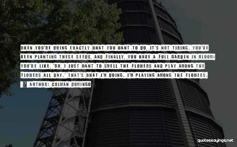 Colman Domingo Quotes: When You're Doing Exactly What You Want To Do, It's Not Tiring. You've Been Planting These Seeds, And Finally, You