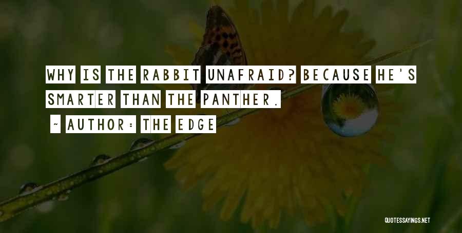 The Edge Quotes: Why Is The Rabbit Unafraid? Because He's Smarter Than The Panther.