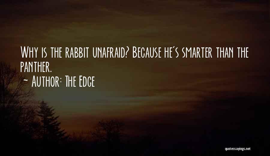 The Edge Quotes: Why Is The Rabbit Unafraid? Because He's Smarter Than The Panther.