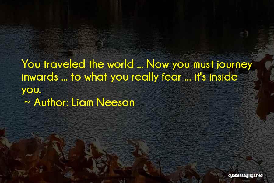 Liam Neeson Quotes: You Traveled The World ... Now You Must Journey Inwards ... To What You Really Fear ... It's Inside You.