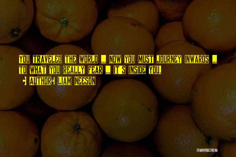 Liam Neeson Quotes: You Traveled The World ... Now You Must Journey Inwards ... To What You Really Fear ... It's Inside You.