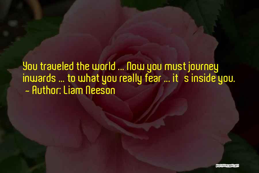 Liam Neeson Quotes: You Traveled The World ... Now You Must Journey Inwards ... To What You Really Fear ... It's Inside You.
