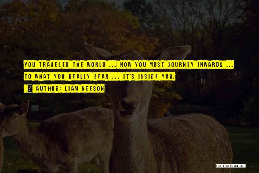 Liam Neeson Quotes: You Traveled The World ... Now You Must Journey Inwards ... To What You Really Fear ... It's Inside You.