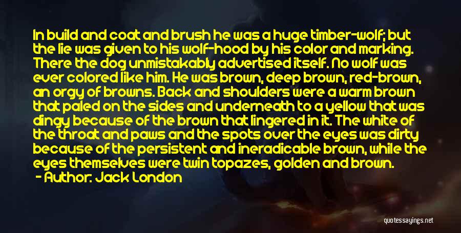 Jack London Quotes: In Build And Coat And Brush He Was A Huge Timber-wolf; But The Lie Was Given To His Wolf-hood By