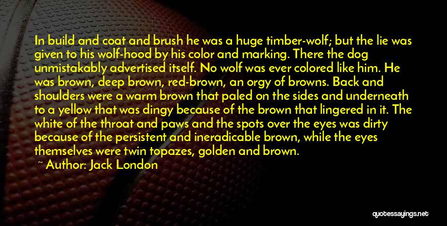 Jack London Quotes: In Build And Coat And Brush He Was A Huge Timber-wolf; But The Lie Was Given To His Wolf-hood By