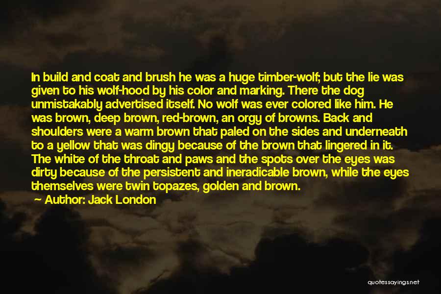 Jack London Quotes: In Build And Coat And Brush He Was A Huge Timber-wolf; But The Lie Was Given To His Wolf-hood By