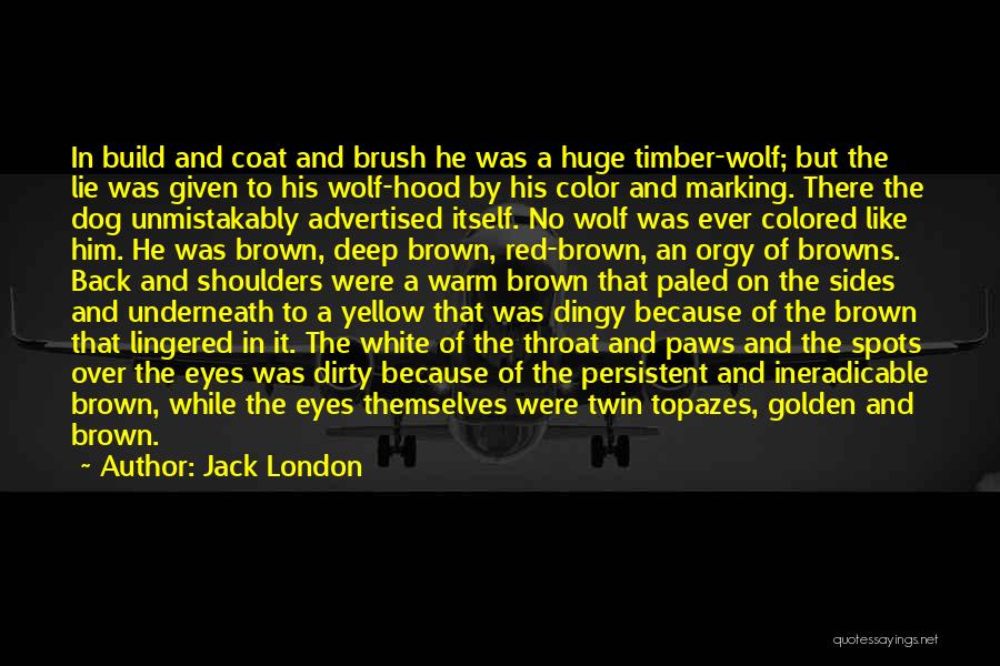 Jack London Quotes: In Build And Coat And Brush He Was A Huge Timber-wolf; But The Lie Was Given To His Wolf-hood By