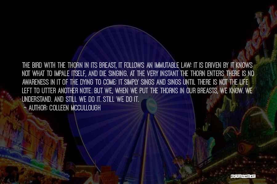 Colleen McCullough Quotes: The Bird With The Thorn In Its Breast, It Follows An Immutable Law; It Is Driven By It Knows Not