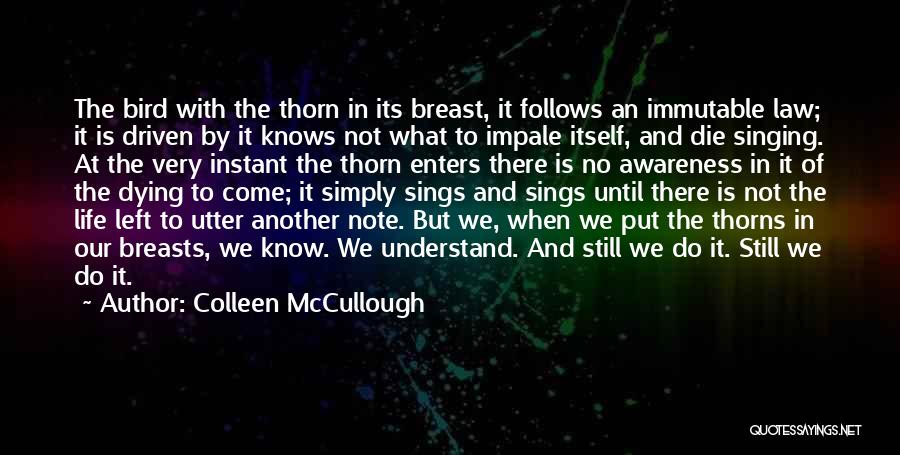 Colleen McCullough Quotes: The Bird With The Thorn In Its Breast, It Follows An Immutable Law; It Is Driven By It Knows Not