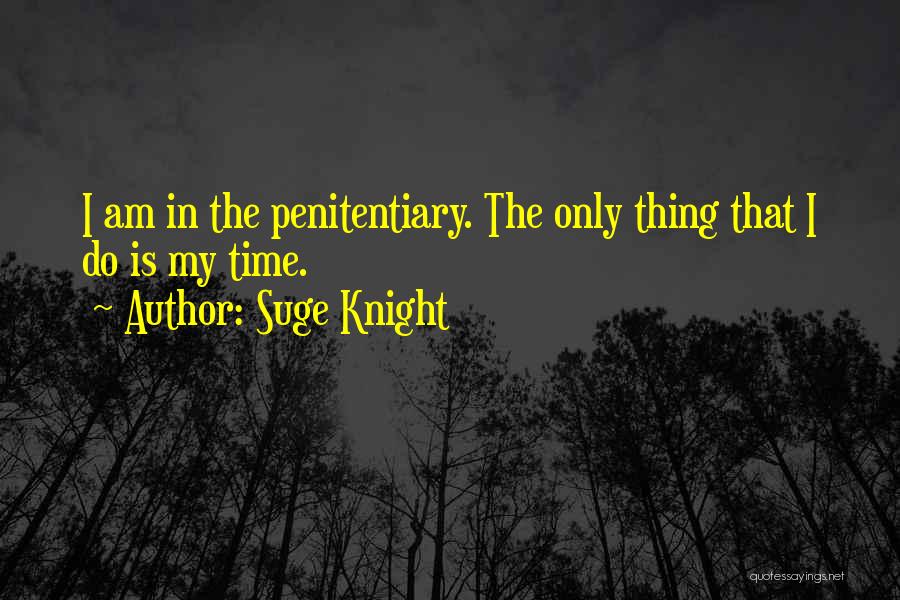 Suge Knight Quotes: I Am In The Penitentiary. The Only Thing That I Do Is My Time.