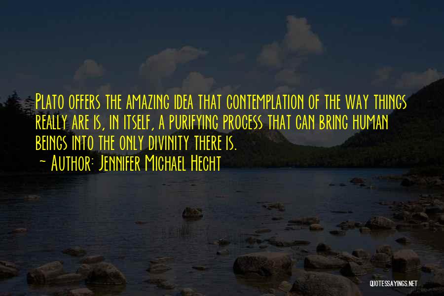 Jennifer Michael Hecht Quotes: Plato Offers The Amazing Idea That Contemplation Of The Way Things Really Are Is, In Itself, A Purifying Process That