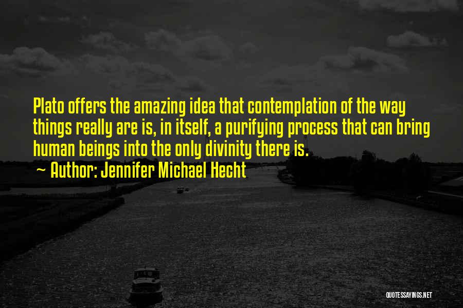 Jennifer Michael Hecht Quotes: Plato Offers The Amazing Idea That Contemplation Of The Way Things Really Are Is, In Itself, A Purifying Process That