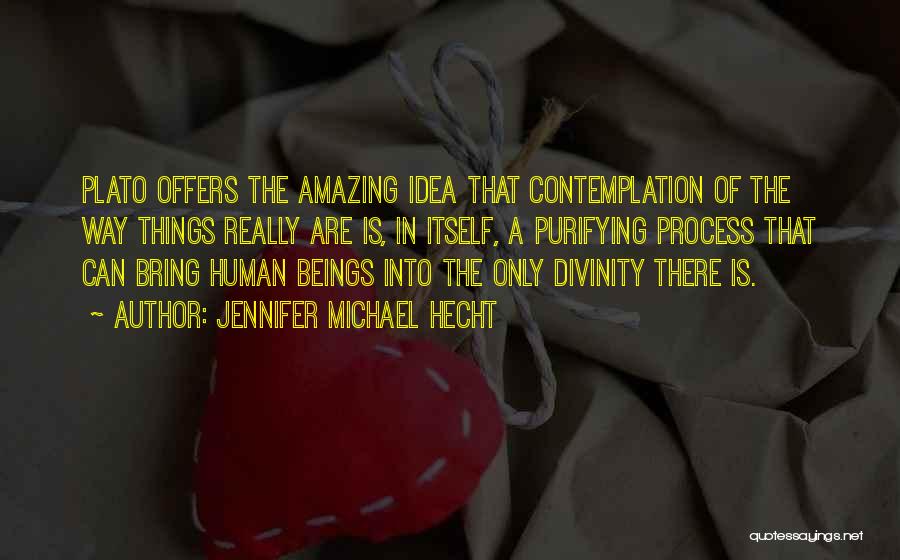 Jennifer Michael Hecht Quotes: Plato Offers The Amazing Idea That Contemplation Of The Way Things Really Are Is, In Itself, A Purifying Process That