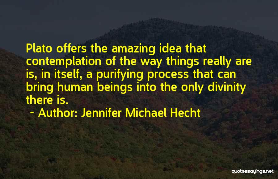 Jennifer Michael Hecht Quotes: Plato Offers The Amazing Idea That Contemplation Of The Way Things Really Are Is, In Itself, A Purifying Process That