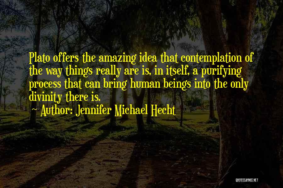 Jennifer Michael Hecht Quotes: Plato Offers The Amazing Idea That Contemplation Of The Way Things Really Are Is, In Itself, A Purifying Process That