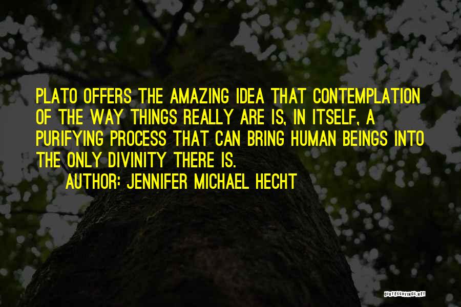 Jennifer Michael Hecht Quotes: Plato Offers The Amazing Idea That Contemplation Of The Way Things Really Are Is, In Itself, A Purifying Process That