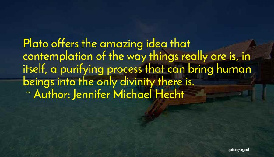 Jennifer Michael Hecht Quotes: Plato Offers The Amazing Idea That Contemplation Of The Way Things Really Are Is, In Itself, A Purifying Process That