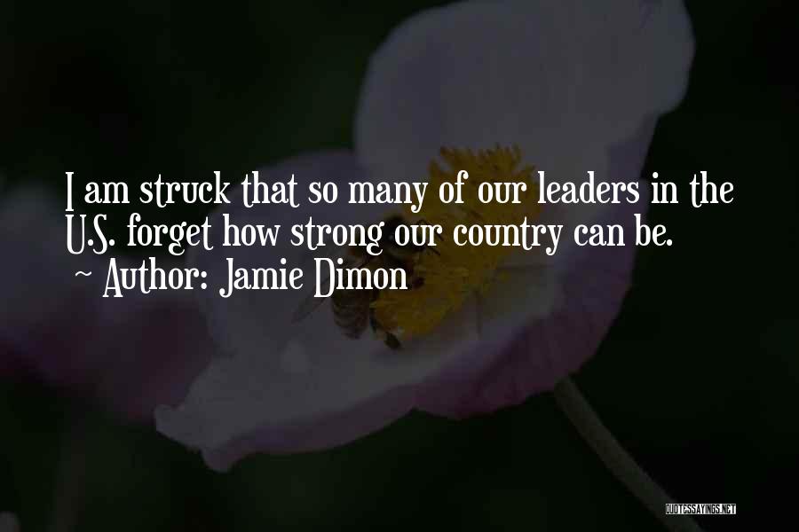 Jamie Dimon Quotes: I Am Struck That So Many Of Our Leaders In The U.s. Forget How Strong Our Country Can Be.