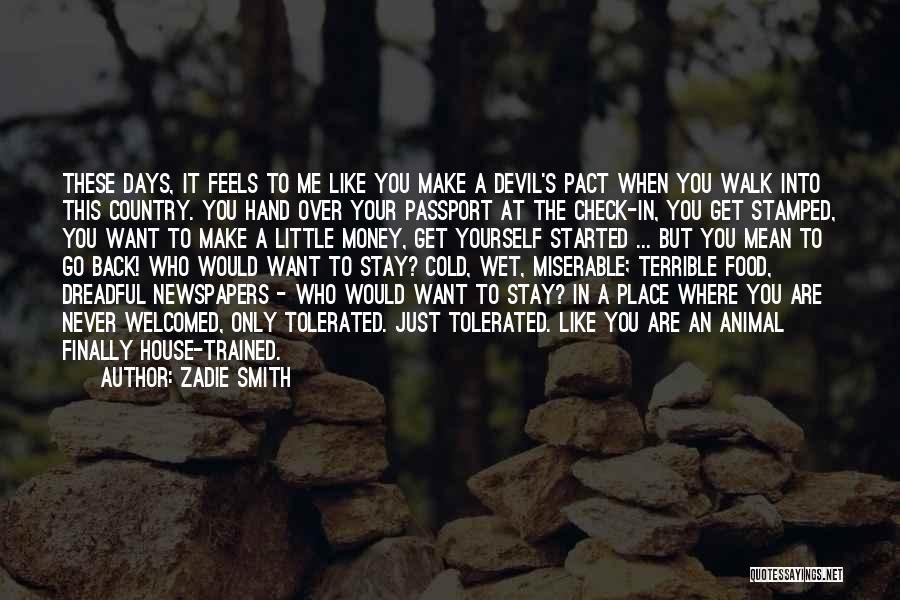 Zadie Smith Quotes: These Days, It Feels To Me Like You Make A Devil's Pact When You Walk Into This Country. You Hand