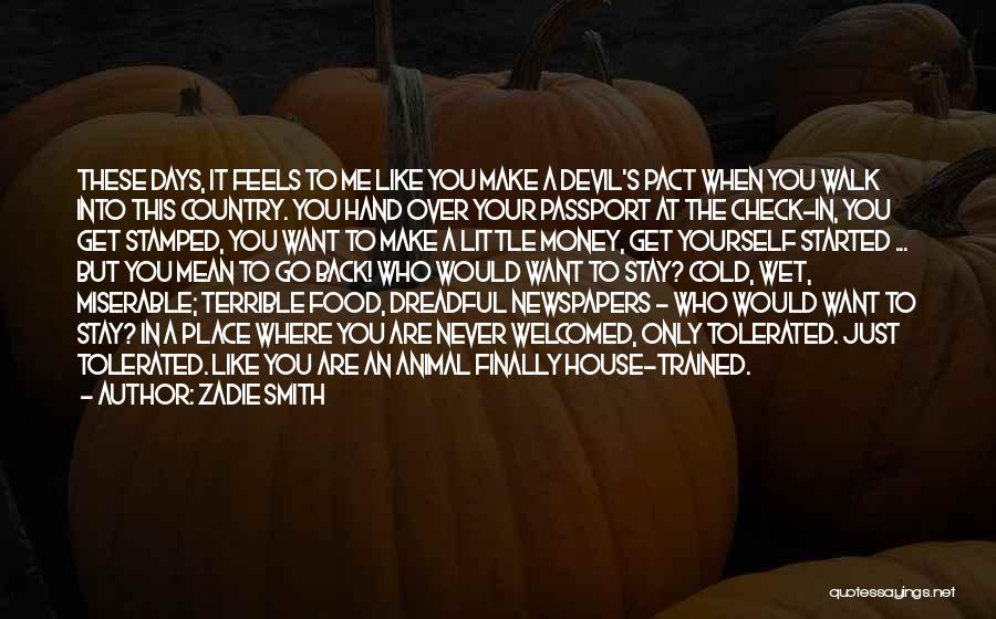 Zadie Smith Quotes: These Days, It Feels To Me Like You Make A Devil's Pact When You Walk Into This Country. You Hand