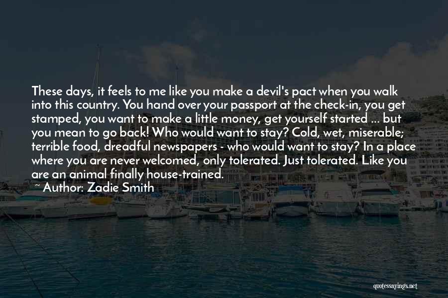 Zadie Smith Quotes: These Days, It Feels To Me Like You Make A Devil's Pact When You Walk Into This Country. You Hand