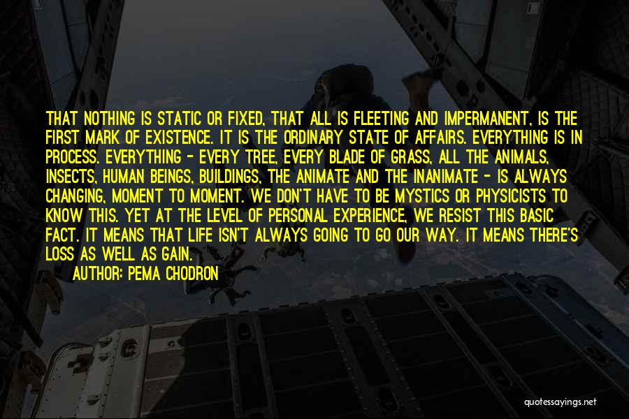 Pema Chodron Quotes: That Nothing Is Static Or Fixed, That All Is Fleeting And Impermanent, Is The First Mark Of Existence. It Is