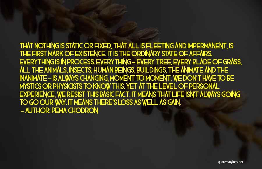 Pema Chodron Quotes: That Nothing Is Static Or Fixed, That All Is Fleeting And Impermanent, Is The First Mark Of Existence. It Is