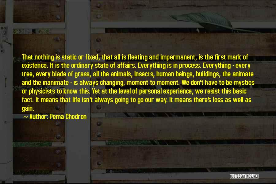 Pema Chodron Quotes: That Nothing Is Static Or Fixed, That All Is Fleeting And Impermanent, Is The First Mark Of Existence. It Is