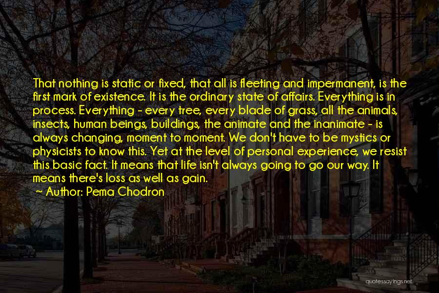Pema Chodron Quotes: That Nothing Is Static Or Fixed, That All Is Fleeting And Impermanent, Is The First Mark Of Existence. It Is