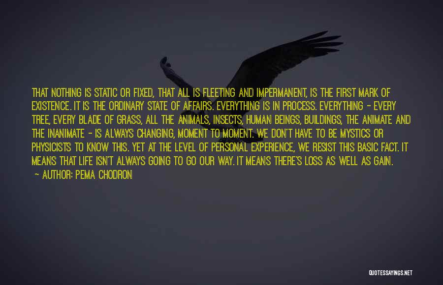 Pema Chodron Quotes: That Nothing Is Static Or Fixed, That All Is Fleeting And Impermanent, Is The First Mark Of Existence. It Is