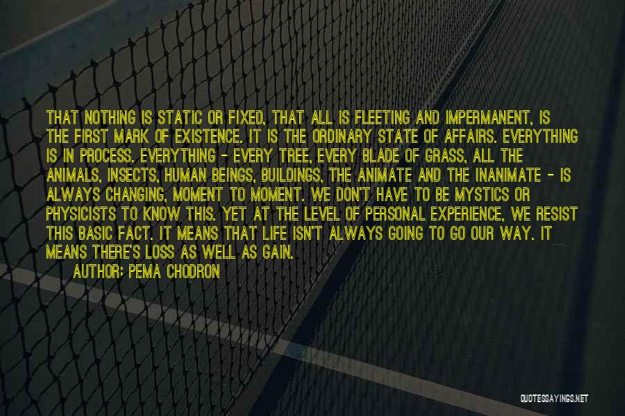 Pema Chodron Quotes: That Nothing Is Static Or Fixed, That All Is Fleeting And Impermanent, Is The First Mark Of Existence. It Is
