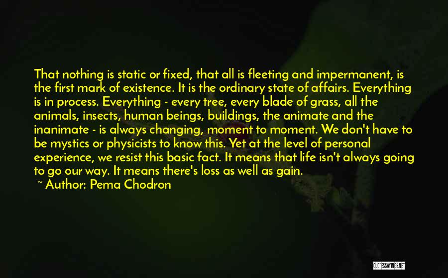 Pema Chodron Quotes: That Nothing Is Static Or Fixed, That All Is Fleeting And Impermanent, Is The First Mark Of Existence. It Is