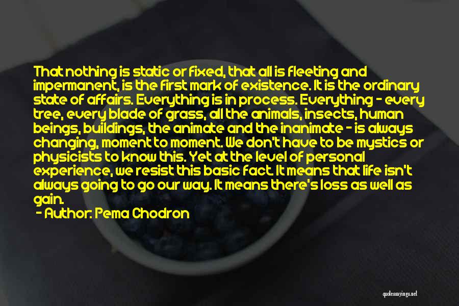 Pema Chodron Quotes: That Nothing Is Static Or Fixed, That All Is Fleeting And Impermanent, Is The First Mark Of Existence. It Is