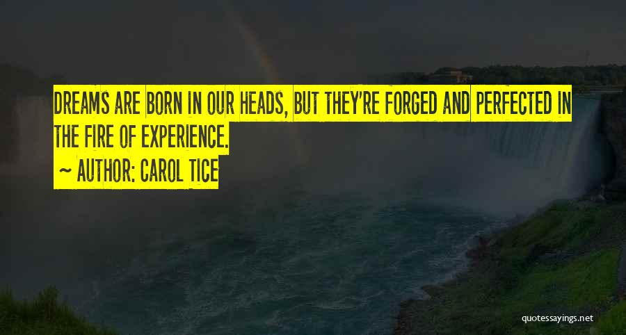 Carol Tice Quotes: Dreams Are Born In Our Heads, But They're Forged And Perfected In The Fire Of Experience.