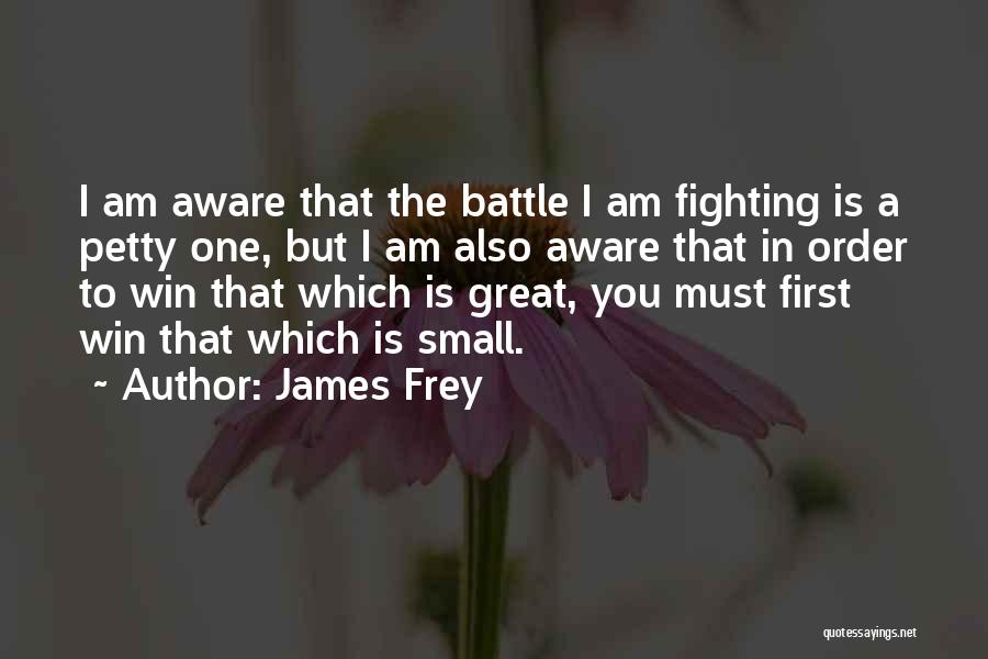 James Frey Quotes: I Am Aware That The Battle I Am Fighting Is A Petty One, But I Am Also Aware That In